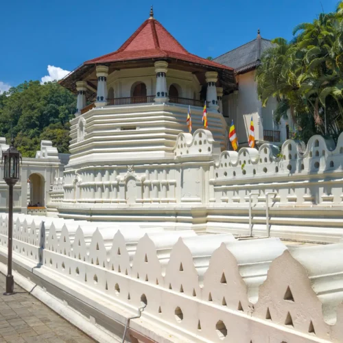 5-Day Central Highlands & Scenic Tea Country Trail